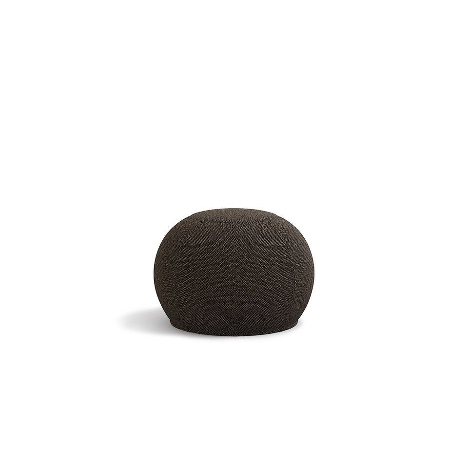 Black Truffle