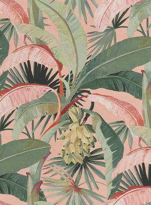 Coral - Mokum Tropicalia