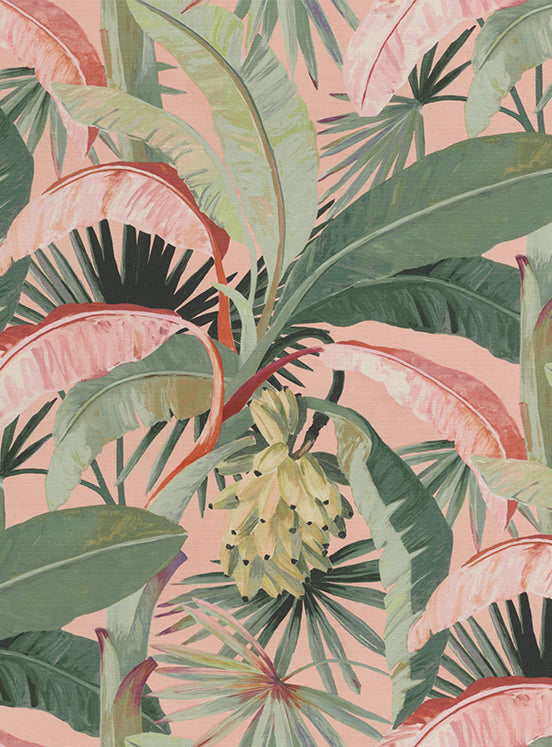 Coral - Mokum Tropicalia