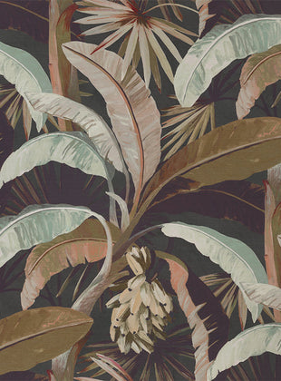 Sepia - Mokum Tropicalia